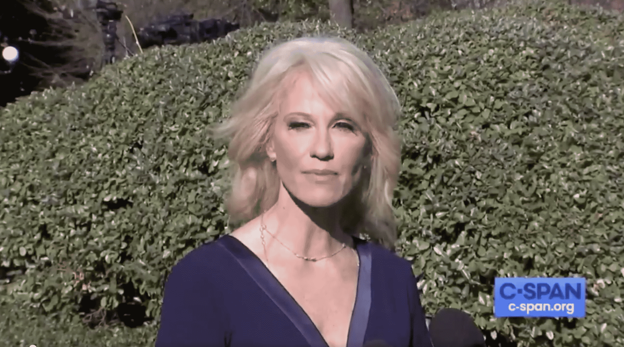 Conway: Democrats Don’t Think ‘All Those White People’ Running for President Can Beat Trump