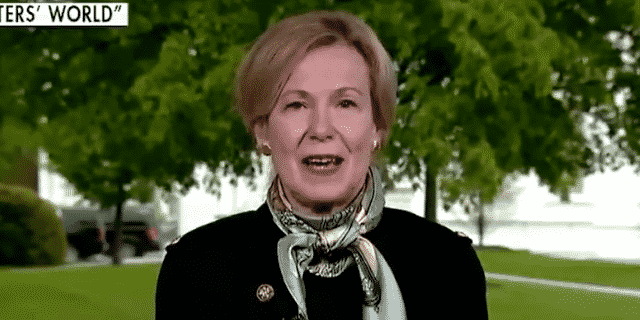 Dr. Birx Defends Trump’s Remarks on Injecting Disinfectant as a Potential Coronavirus Treatment