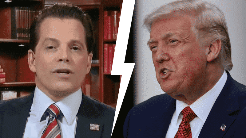 ‘The Loser Is You’: Trump and Anthony Scaramucci Butt Heads