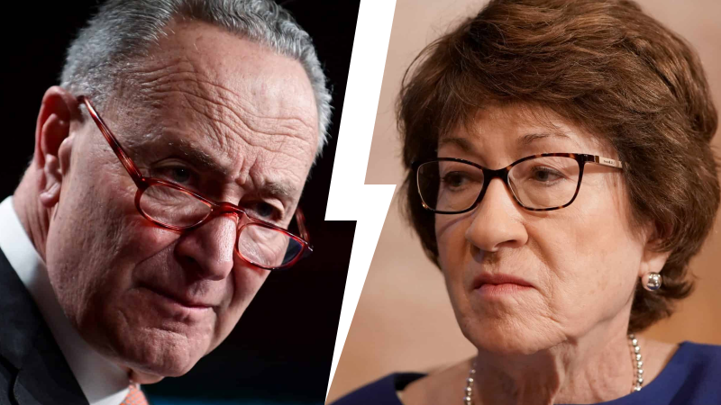 Chuck Schumer Takes Whack at Susan Collins — She Swipes Back