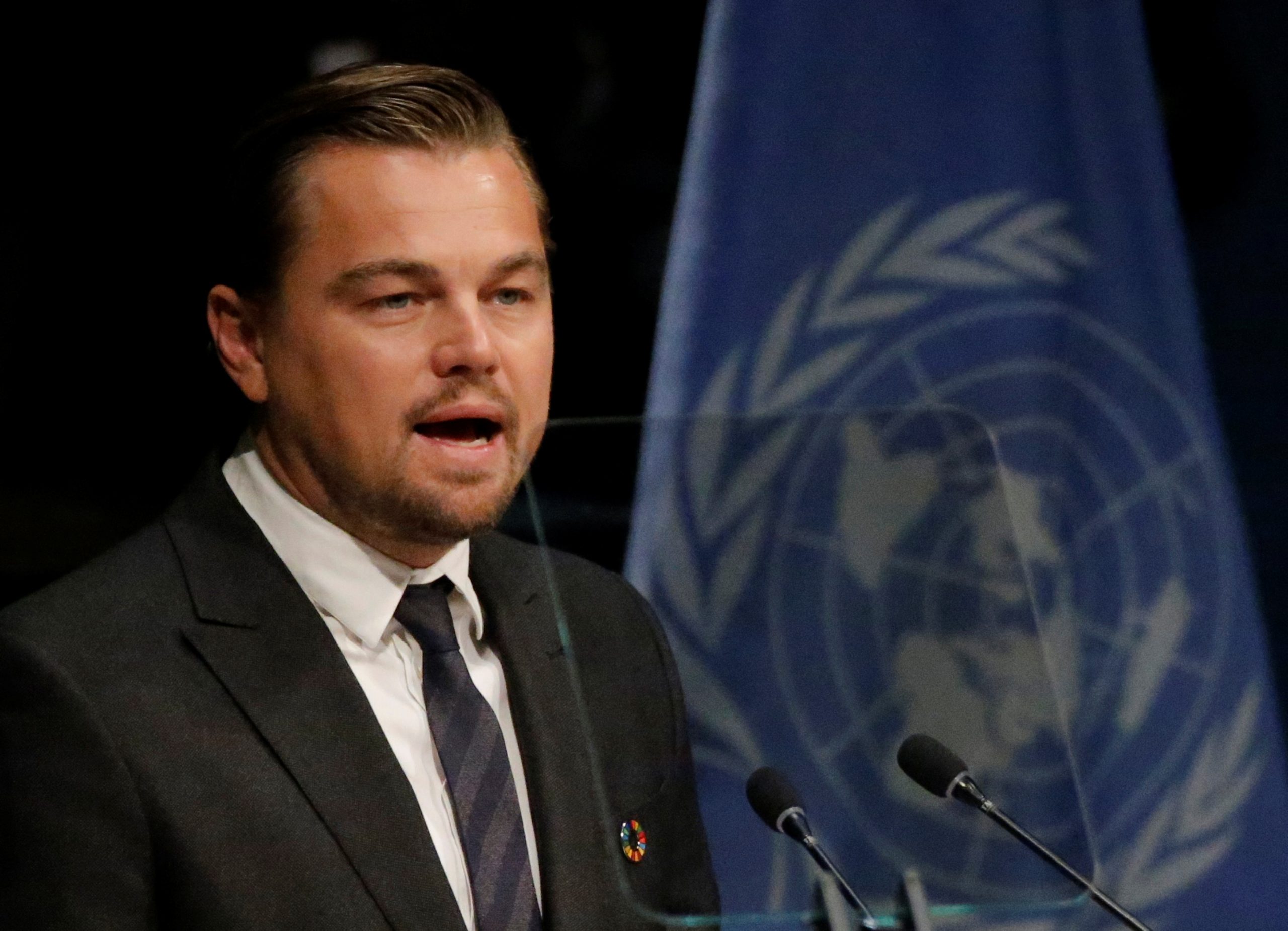 DiCaprio, Katy Perry Urge Biden To Refuse Brazil Environment Deal