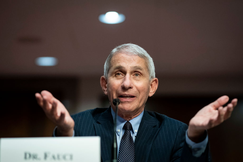 Expert Floored by Bombshell NIH Letter: Fauci ‘Knowingly, Willfully, and Brazenly’ Lied