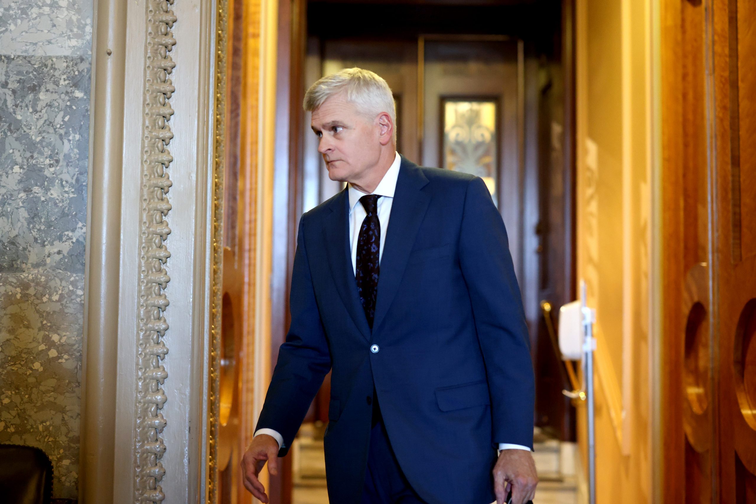 GOP Senator Favors Cognition Tests for Leaders Who Are Aging