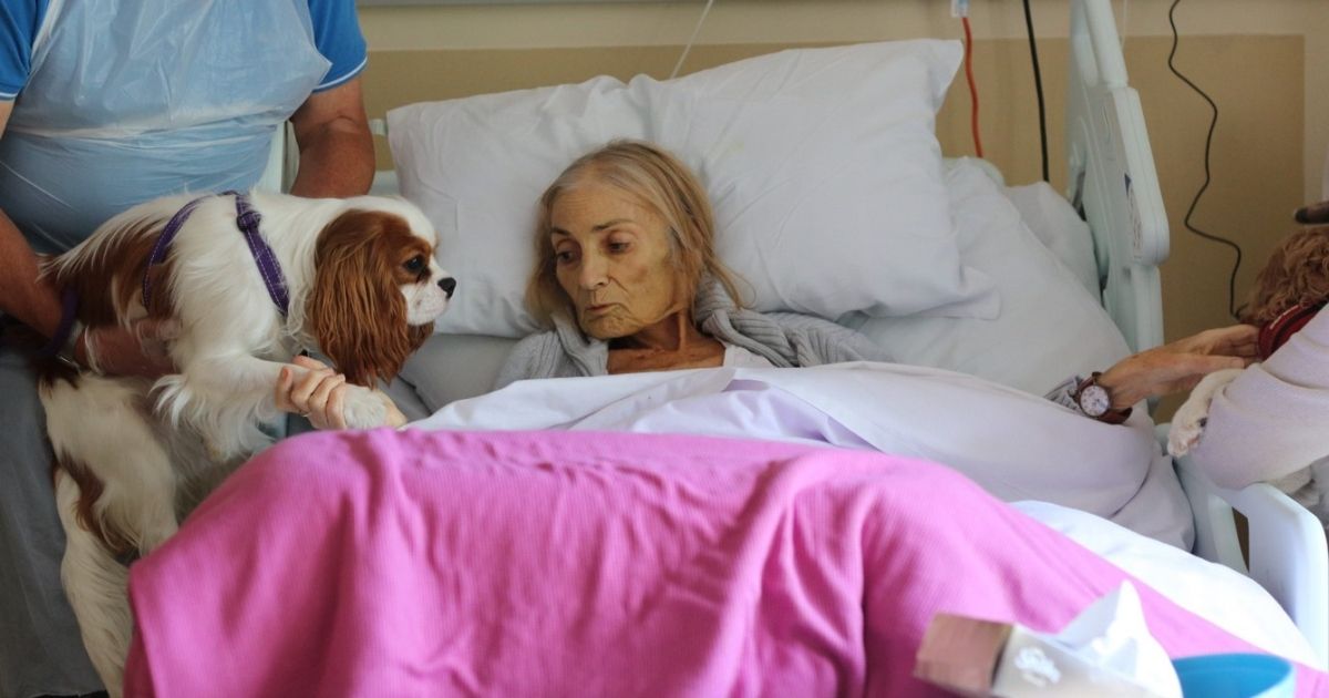 Heartbreaking Photos: Woman Gets Dying Wish to See Pets One Last Time