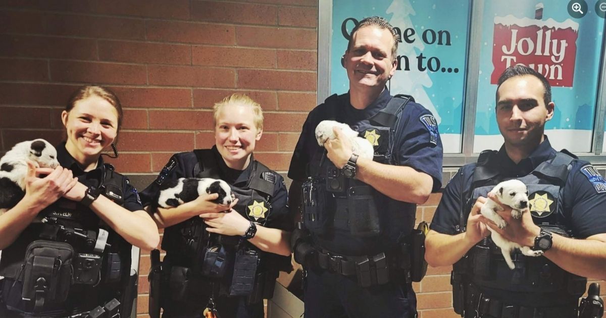 Puppies in Duffel Bag Dumped at Store Christmas Night: Responding Police Officers Quickly Adopt Them