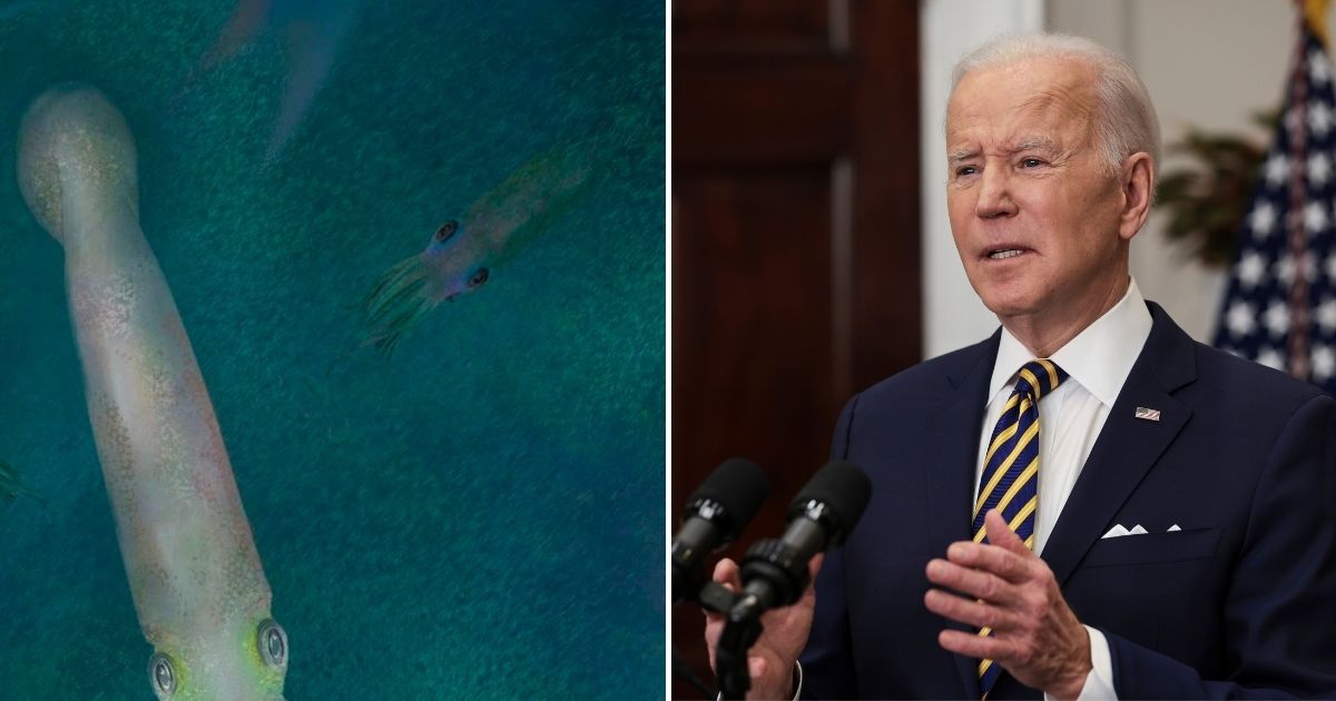 Not Satire: Joe Biden Gets Prehistoric ‘Vampire Squid’ Named After Him