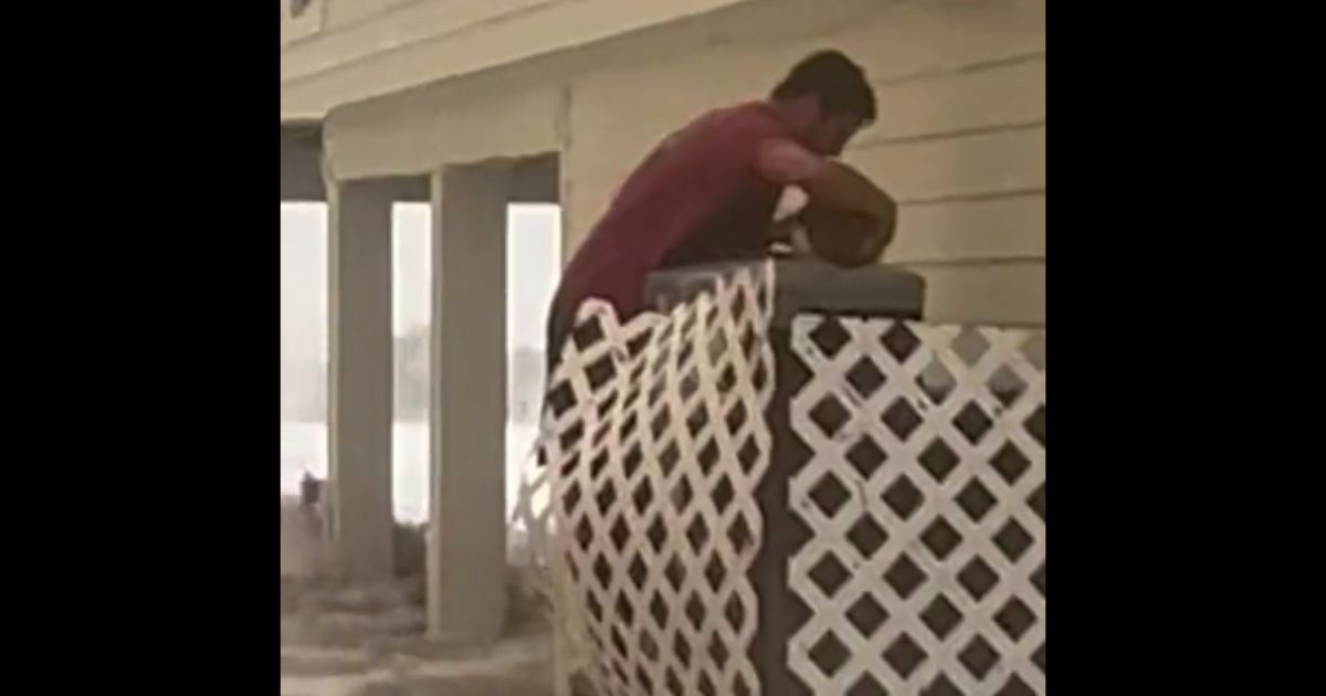Watch: With Water Rising Every Second, Man Rescues Helpless Cat from Surging Flood Waters of Hurricane Ian