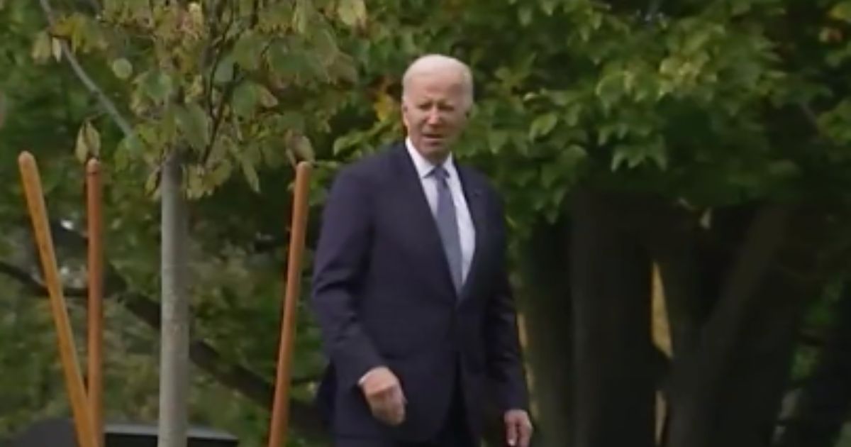 Biden Starts Wandering Off After Planting Tree, Has to Be Redirected Back to the White House