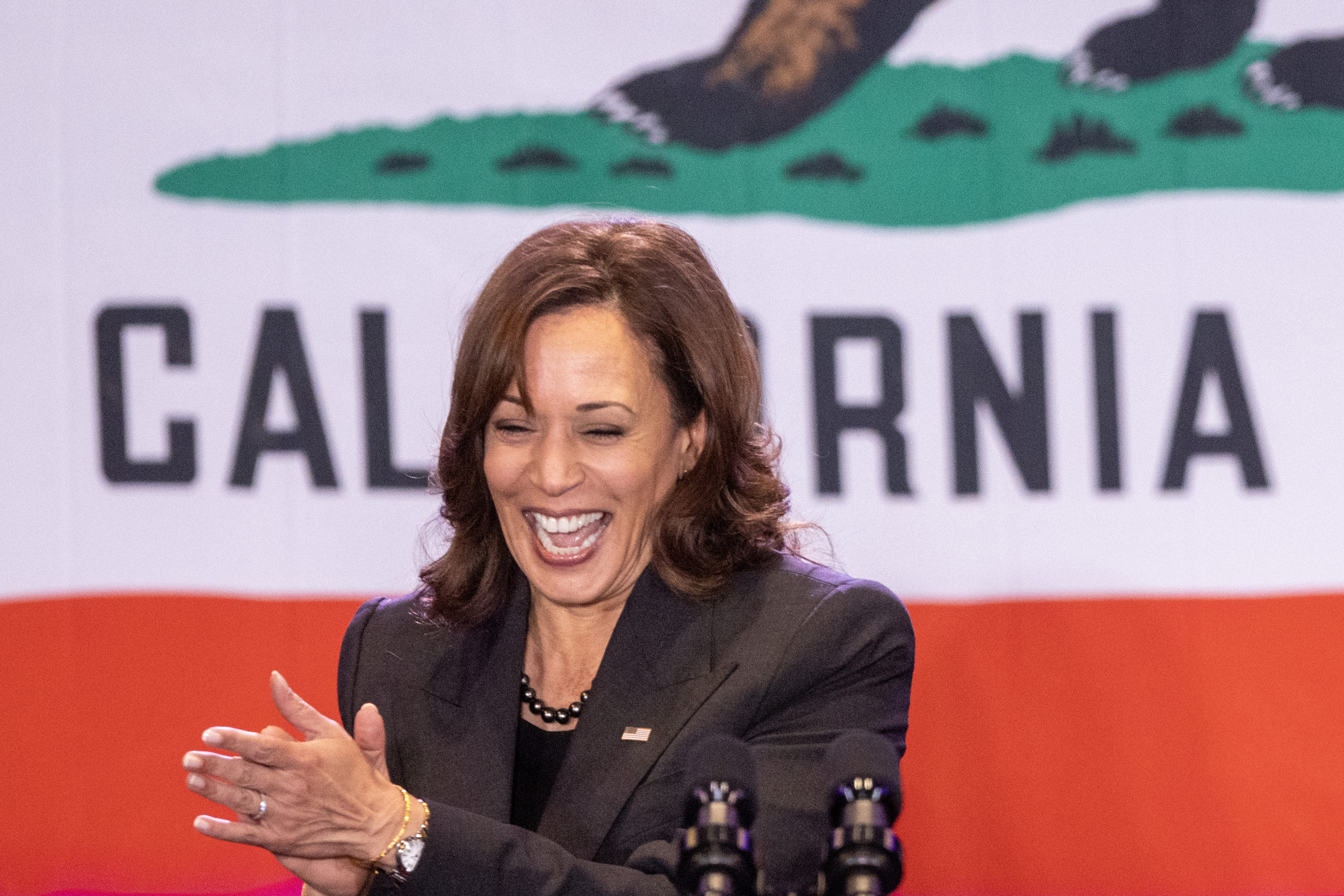 Kamala Harris Engaged in ‘Really Unnecessary Gamesmanship’ With Staff, Book Clams