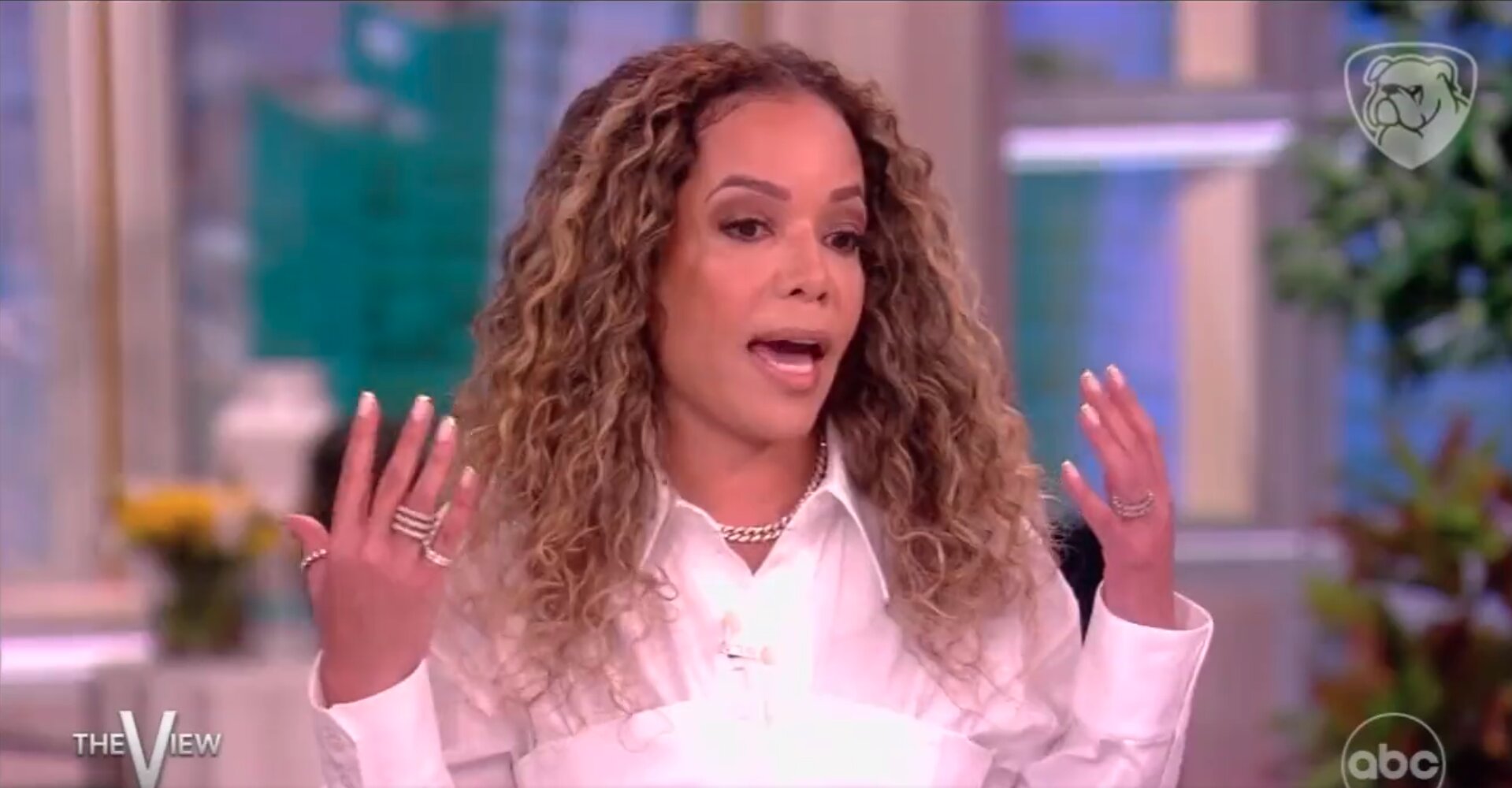 Sunny Hostin Exposes Her Double Standard on Boycotts in 20-Seconds