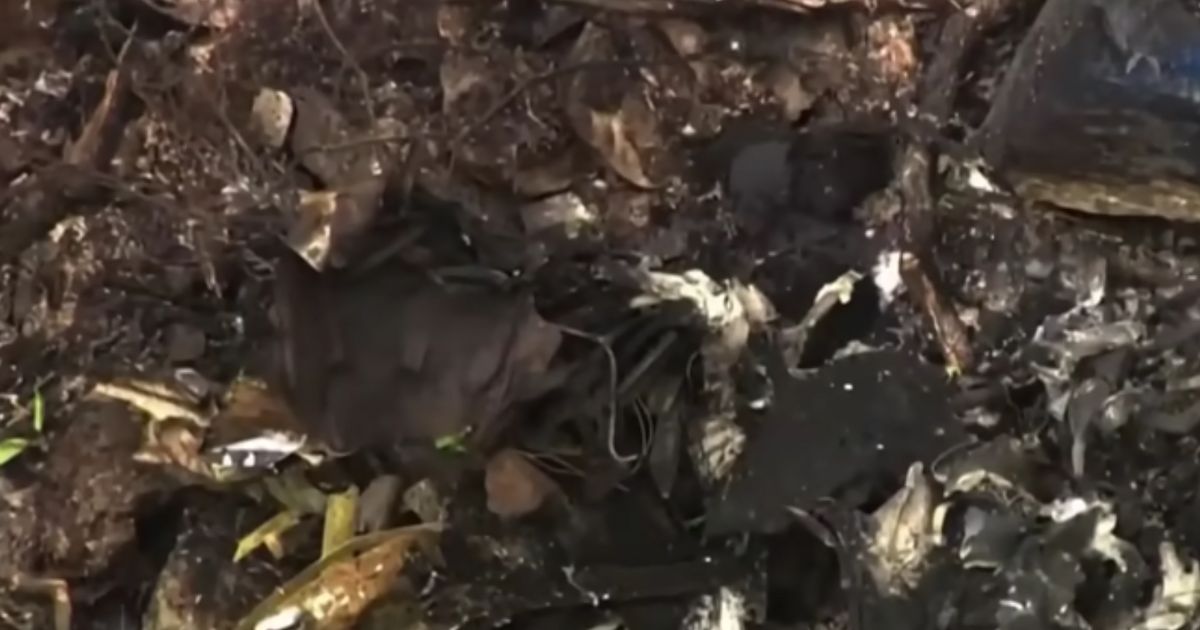 The plane crashed into a mountainside in Virginia.