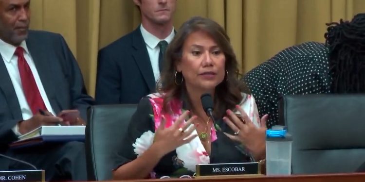 Dem Lawmaker Issues Apology for GOP Colleague’s Analogy Involving Children Transitioning and Ice Cream