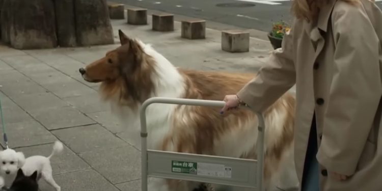 If You See This Walking Down the Street, Don’t Approach – It’s Not a Dog