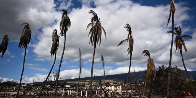 Hawaii’s ‘First Line of Defense’ Likely Failed During Maui Fires, Says Congresswoman