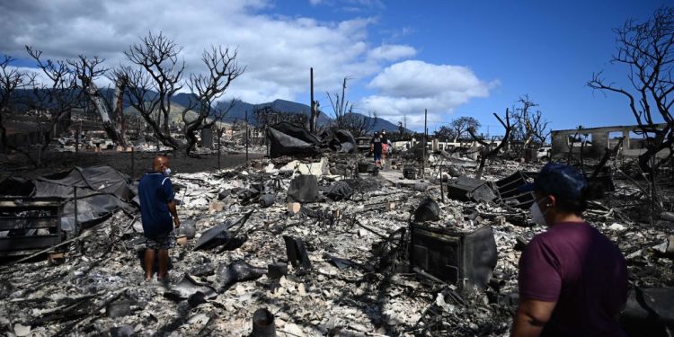 Hawaii Regulators and Utility Company Knew of Fire Hazards, Yet Failed to Act: Report