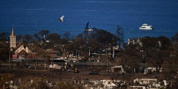 ‘A Little Relief’: Maui Charity to Give Residents $1,000