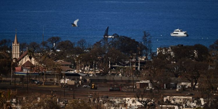 ‘A Little Relief’: Maui Charity to Give Residents $1,000