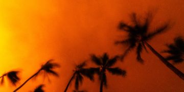 Water Official Scrutinized for Delaying Water Release Amid Maui Wildfires, Now Reassigned