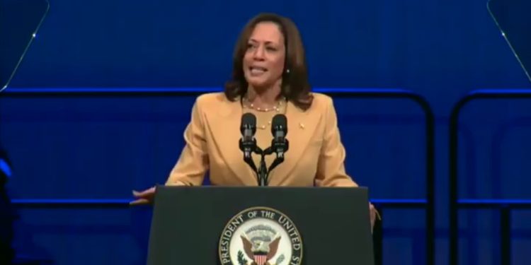 Harris Shoots Down DeSantis’ Invitation to Discuss Controversial Curriculum