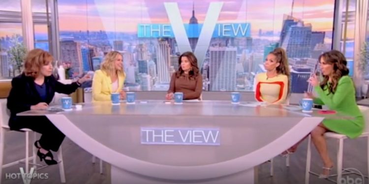 The four liberal panelists argued with their token Republican co-host about her decision not to vote for Joe Biden for president.