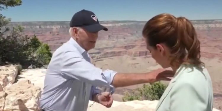 President Joe Biden brushes a bug off of a reporter on Tuesday at the Grand Canyon.