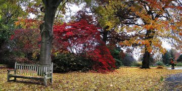 Maryland County Passes Legislation Banning Gas-Powered Leaf Blowers