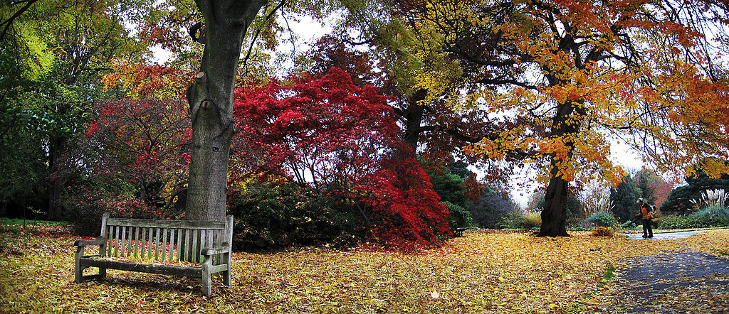Maryland County Passes Legislation Banning Gas-Powered Leaf Blowers