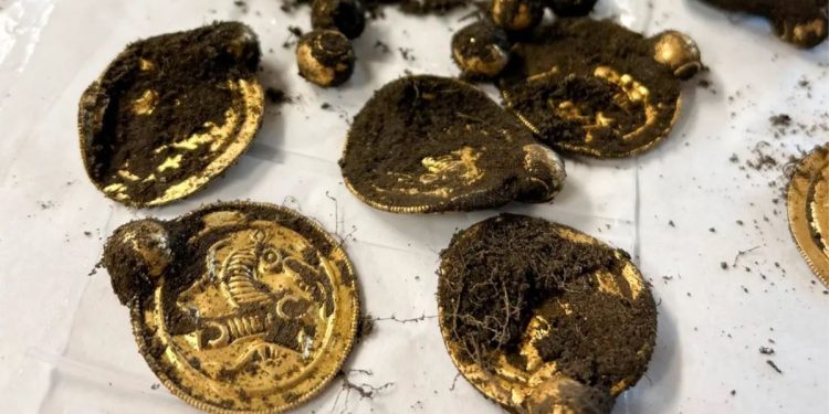 Erlend Bore was out getting exercise in Rennesøy, Norway, when he stumbled across the "archaeological find of the century," which included these gold medallions.
