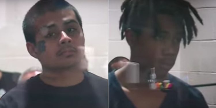 Mother of Punk Who Allegedly Recorded Heartless Hit-and-Run on Retired Police Chief Blames Media Lies, Says ‘Truth’ Will Come Out