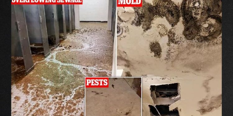 Inspectors found overflowing toilets, mold and pests in the U.S. military barracks.