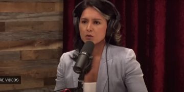 Joe Rogan Decries the Maui Wildfire Response With Tulsi Gabbard: ‘It’s Insane’