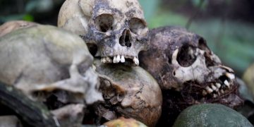 Police Discover ‘Plastic Skull Beer Bong’ After Responding to Reports of Human Remains