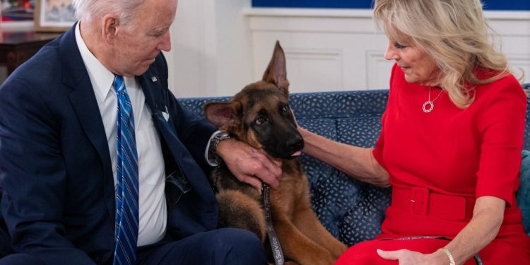 Former White House Staffer Says Biden Family Did Not Address Dog’s Bad Habits