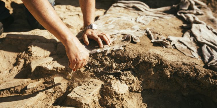 Ancient Artifacts Found in Spanish Cave ‘Highlight the Skill of Prehistoric Communities’