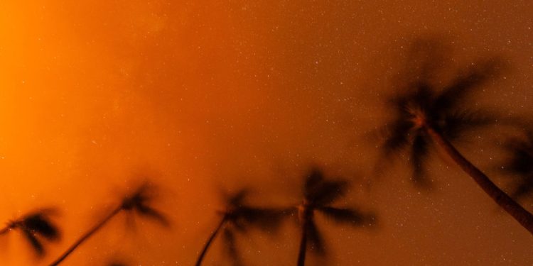 Woman Who Escaped Maui Wildfires on Foot Dies After Weeks of Hospitalization