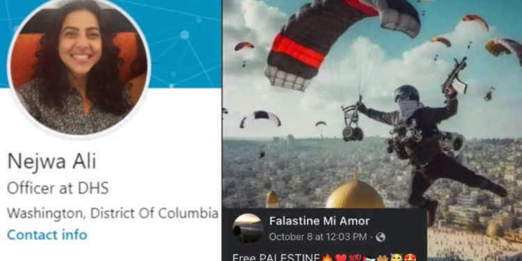 Nejwa Ali, a Department of Homeland Security official, was placed on leave after posting anti-Semitic sentiments on social media.