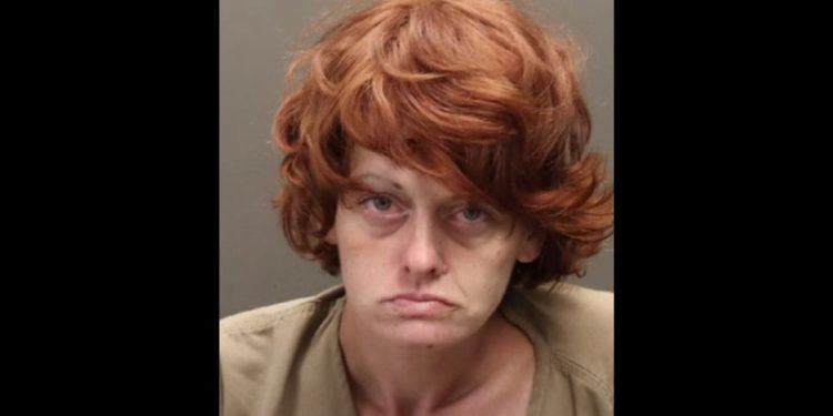 This YouTube screen shot shows the mug shot of Rebecca Auborn, who has been accused of a number of crimes.