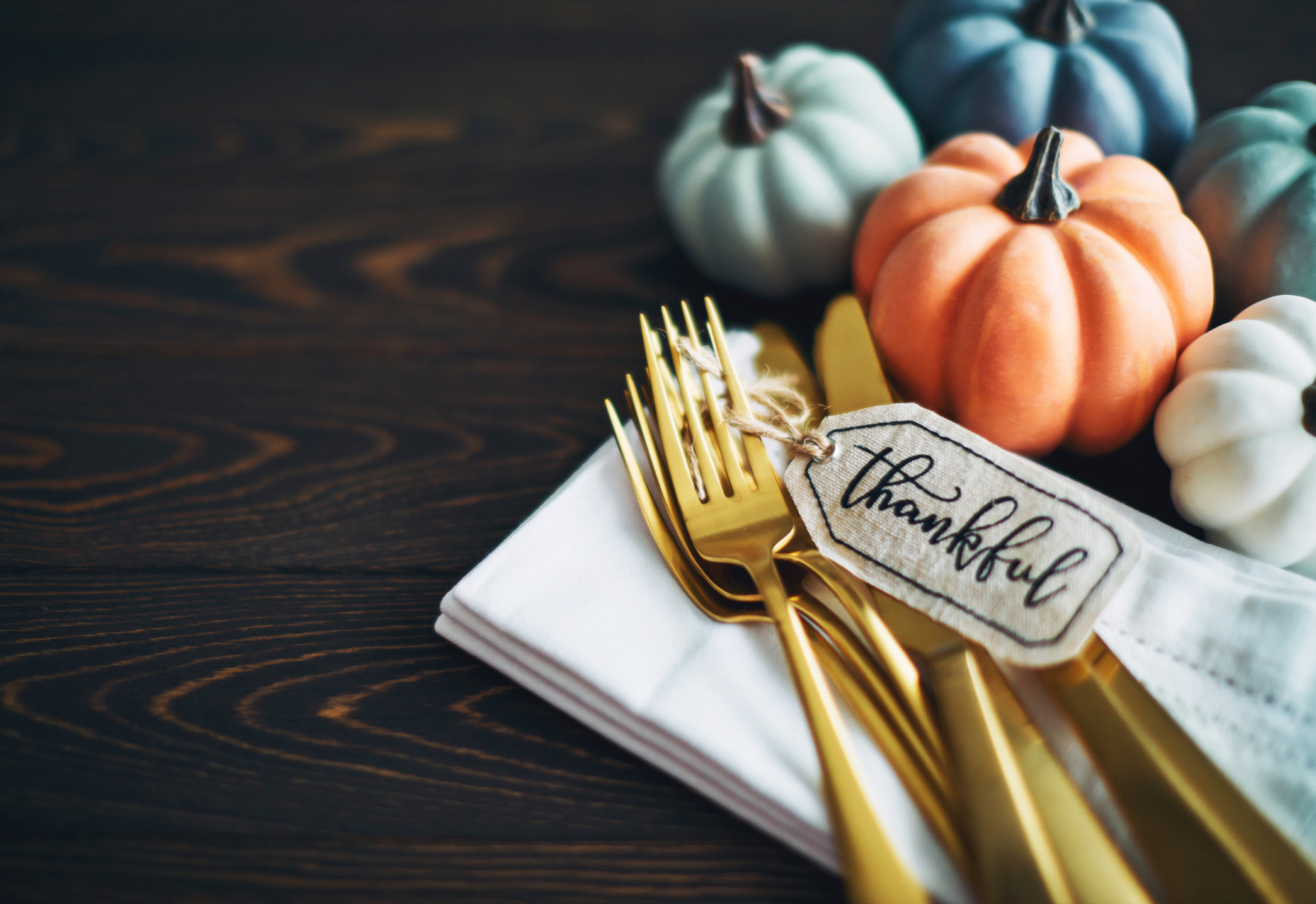 Celebrate the Gratitude of Thanksgiving With ‘Reclaiming Femininity’