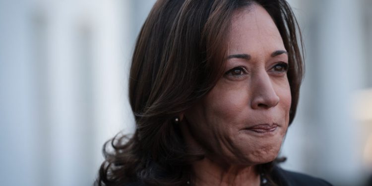 Kamala Harris Slammed Over Photo of Gas Stove on Thanksgiving