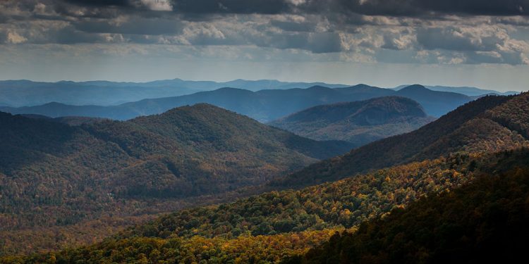 Part of Blue Ridge Parkway Closed After Visitors Attempted to Feed, Hold Bear