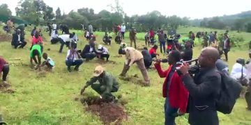 Kenyan People Given Holiday to Help Plant 100 Million Trees