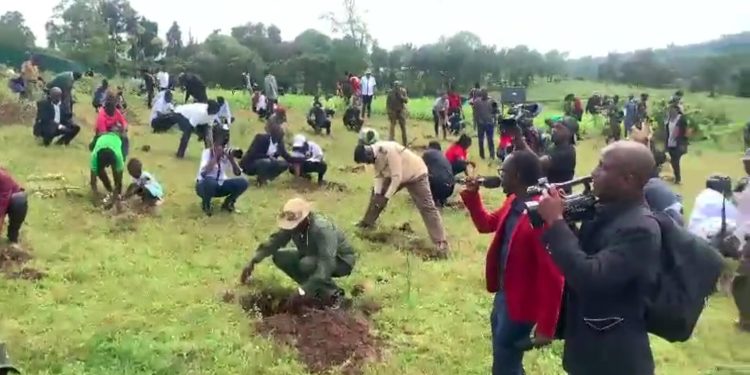 Kenyan People Given Holiday to Help Plant 100 Million Trees