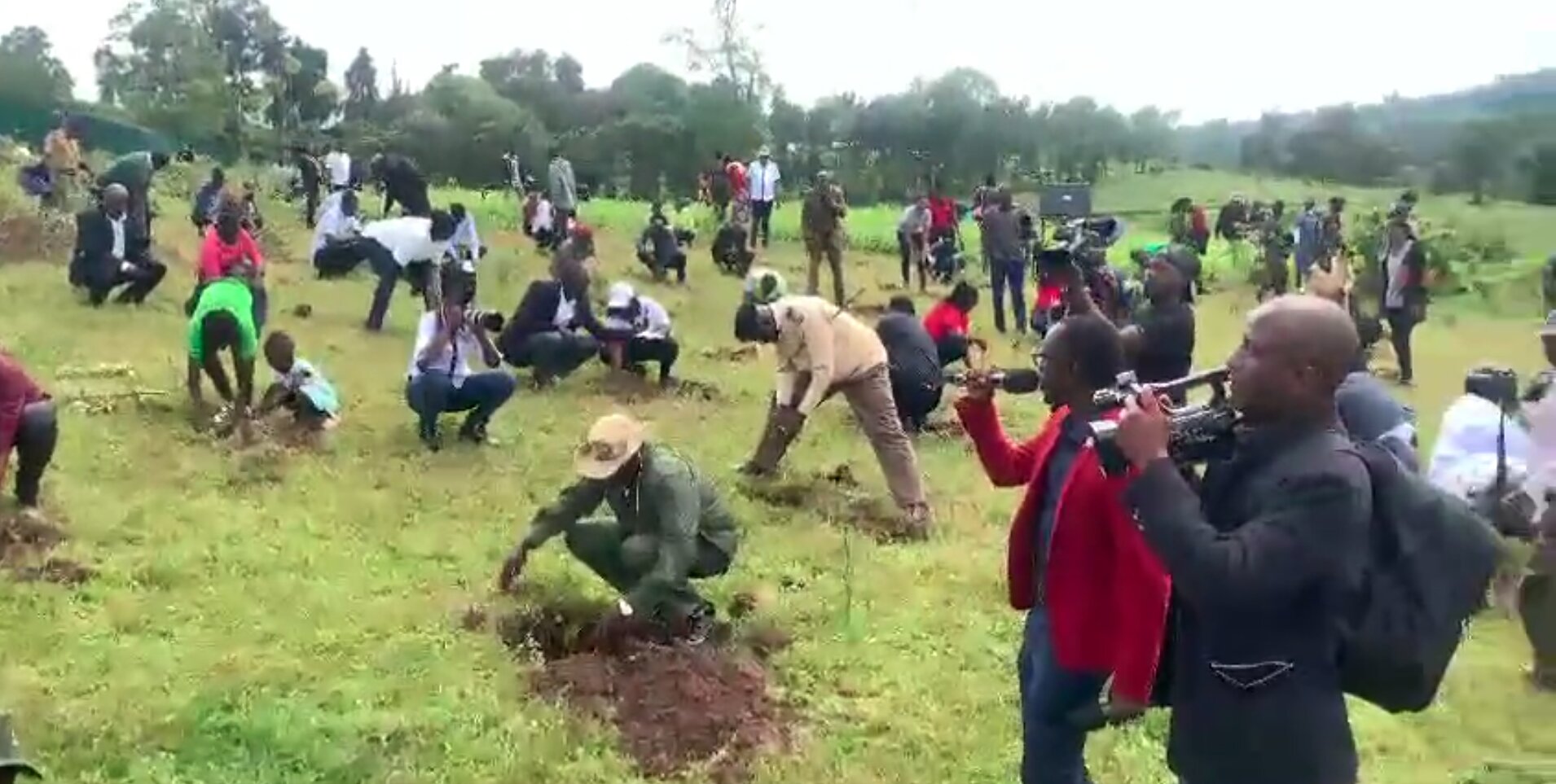 Kenyan People Given Holiday to Help Plant 100 Million Trees