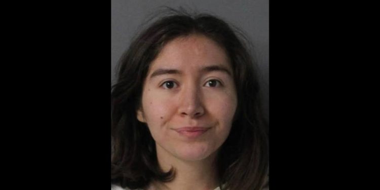 Former Disney actress Bridget Shergalis was arrested on charges related to vandalism.