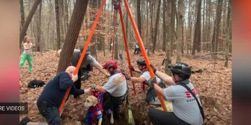 Puppy Saved By North Carolina Firefighters After Falling Down Well