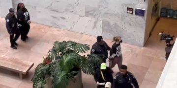 Pro-Palestinian protesters are led out of the Senate office building's lobby with their hand zip-tied.