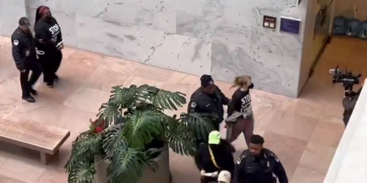 Pro-Palestinian protesters are led out of the Senate office building's lobby with their hand zip-tied.
