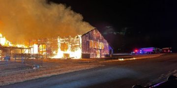 4 Horses Rescued By Man Who Rushed to Save Them From Burning Stables