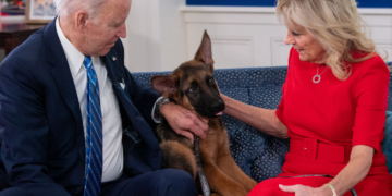 Biden’s Dog Commander’s at Least 24 Bites Prompted Removal From White House: Report