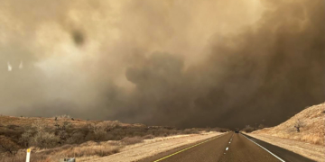 1 Confirmed Dead in Texas Wildlife